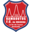 Bamboutos
