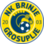 Nk Brinje Grosuplje