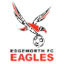 Edgeworth Eagles