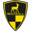 Wadi Degla FC