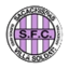 Sacachispas FC