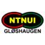 NTNUI