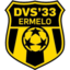 DVS 33