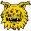 Tampereen Ilves W