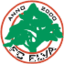 FC Elva