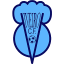 Viveiro CF